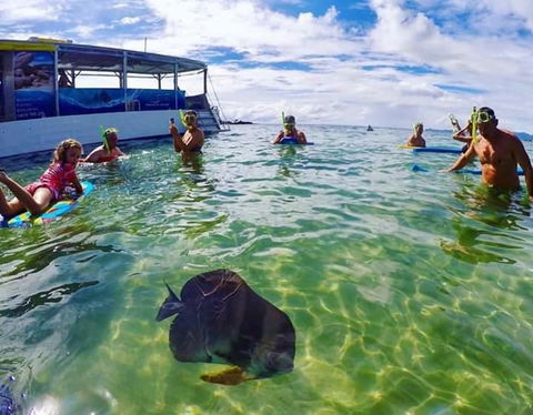Magnetic Island Guest House - Accommodation QLD 20
