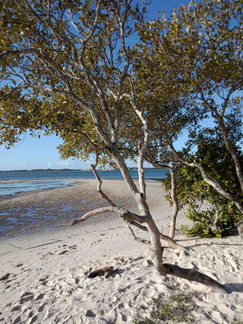 Modern Beach Villa - Accommodation QLD 15