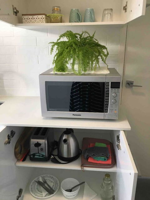 Modern Beach Villa - Accommodation QLD 10