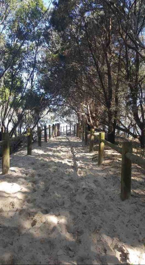 Modern Beach Villa - Accommodation QLD 16