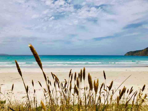 Modern Beach Villa - Accommodation QLD 14