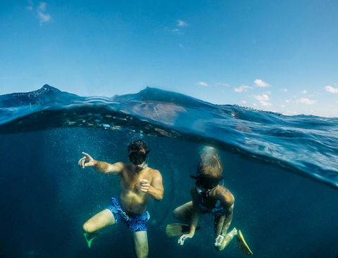 Manta Lodge YHA & Scuba Centre - Accommodation QLD 12