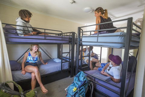 Manta Lodge YHA & Scuba Centre - Accommodation QLD 10