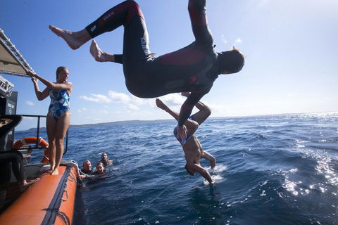 Manta Lodge YHA & Scuba Centre - Accommodation QLD 11