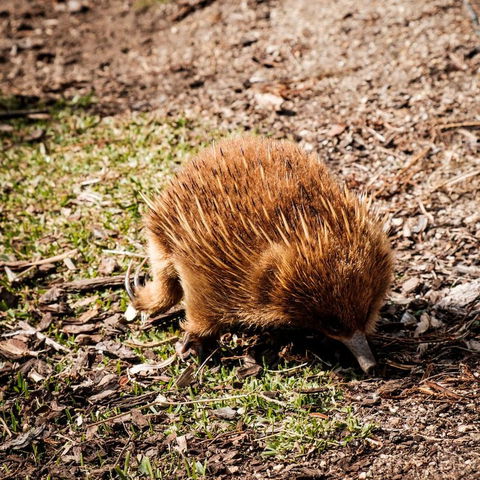 Palana Beach House - Accommodation QLD 12