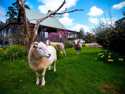 Parnella Adventure Bay, Bruny Island - Accommodation QLD 19