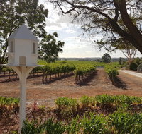 'In The Vines' Guest Cottage Barossa Valley - Accommodation QLD