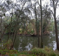 1 Private Single Room in Carramar 1-minute walk to Station - SHAREHOUSE - Accommodation QLD