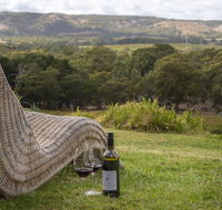 131 Your Vineyard Home in the heart of the Vale - Accommodation QLD