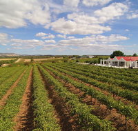 1837 Barossa Luxury Vineyard Cottages - Accommodation QLD
