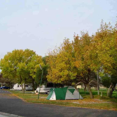 BIG4 Dandenong Tourist Park - Accommodation QLD 4