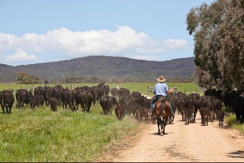 Butmaroo Station - Accommodation QLD 1