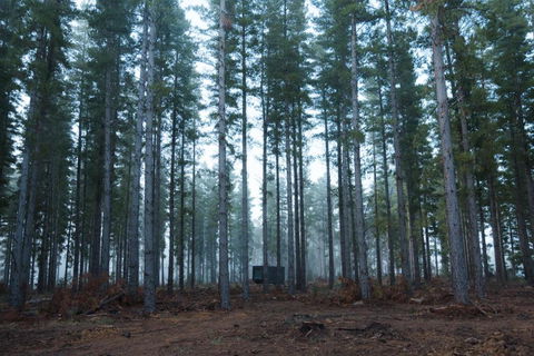 CABN Kuitpo Forest - Accommodation QLD 2