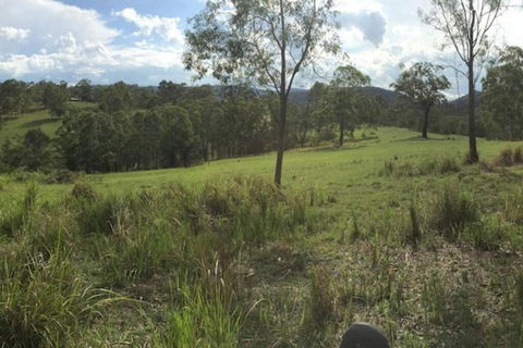 Charity Creek Retreat - Accommodation QLD 2