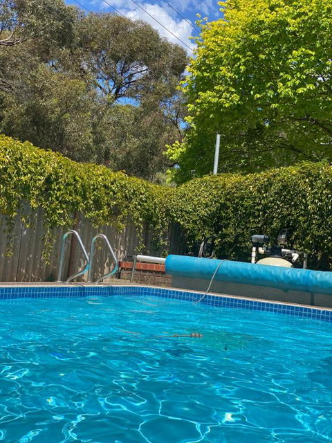 Creek Front House - Accommodation QLD 1