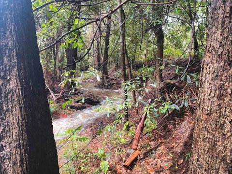 Crystal Cottage Retreat- Escape To The Hinterland! - Accommodation QLD 3