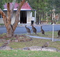 31 The Rocks - Accommodation QLD