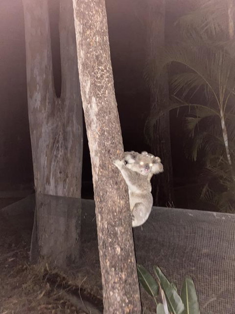 5 Mins To Movie World & Pet Friendly - Accommodation QLD 0