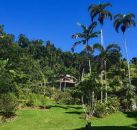 A Daintree Garden - Accommodation QLD