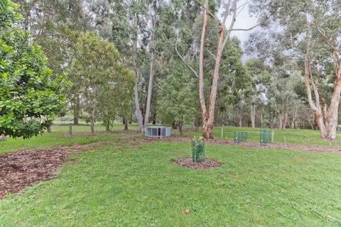 A Grape Escape - Accommodation QLD 3