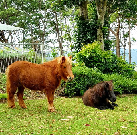 Aaronlee Retreat - Accommodation QLD 1