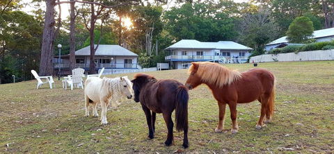 Aaronlee Retreat - Accommodation QLD 2