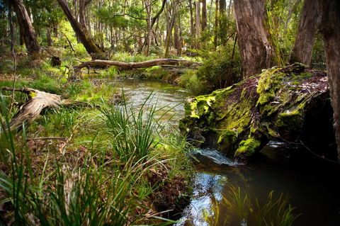 Ablac Studio - Accommodation QLD 1