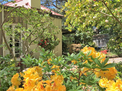 Adelaide Hills 'Camellia Cottage' - WiFi - Accommodation QLD 1