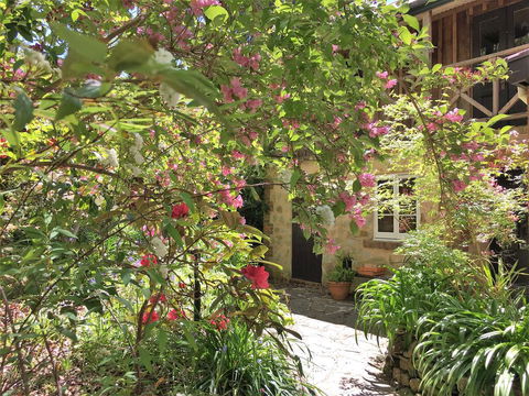 Adelaide Hills 'Camellia Cottage' - WiFi - Accommodation QLD 2