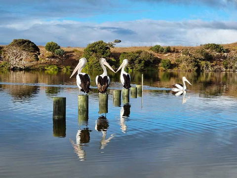 Discovery Views - Accommodation QLD 2