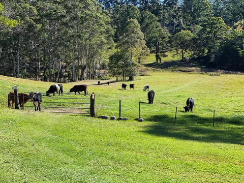 Fiery, Cozy Starry Nights - Farm Stay! - Accommodation QLD 2