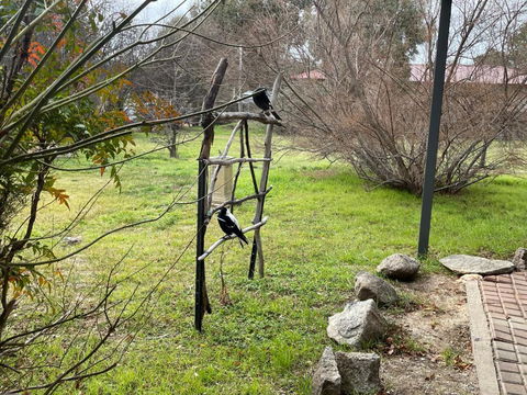 Florence Lodge - Accommodation QLD 4