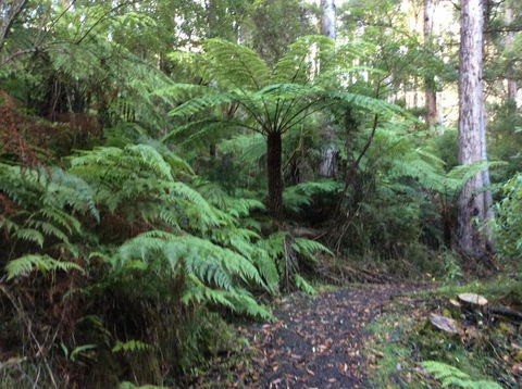 Forrest River Valley - Accommodation QLD 4