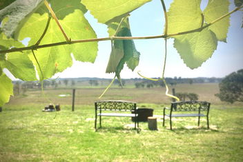 Galbraith Farmhouse South Burnett with Accommodation QLD