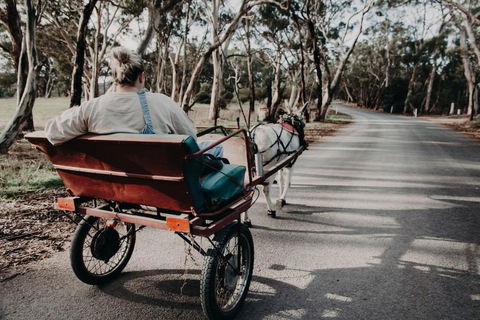 Gums N Roses By Tiny Away - Accommodation QLD 1