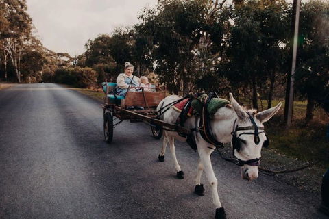 Gums N Roses By Tiny Away - Accommodation QLD 2