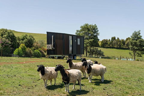 Hillside Hideout By Tiny Away - Accommodation QLD 2