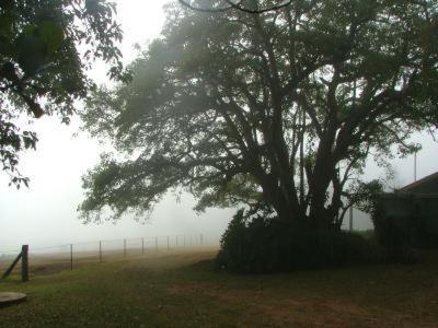 Hillview Cottages - Accommodation QLD 3