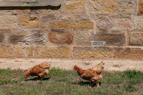 Historic Sandstone Ross Farmhouse - Accommodation QLD 2