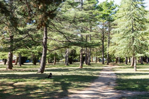 Impeccable Braddon Studio With Outdoor Dining - Accommodation QLD 3