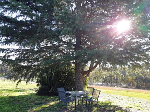 Indigo Vineyard Farmstay - Accommodation QLD 2