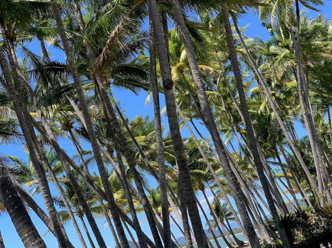 IMPORTANT MESSAGE This Property Is Not Currently Available For Holiday Letting - Accommodation QLD 1