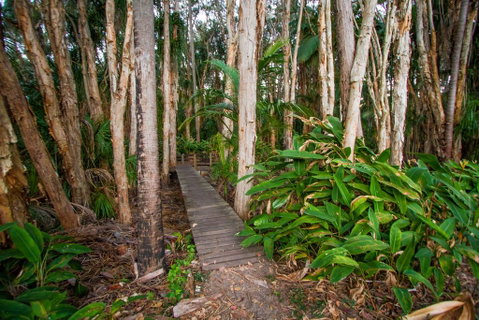 Agnes Palms Accommodation - Accommodation QLD 0
