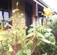 Albion Cottage - Accommodation QLD