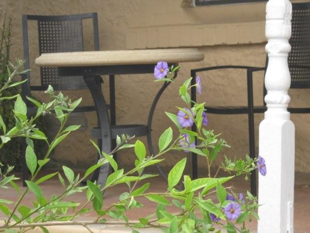 Geranium SA Accommodation QLD
