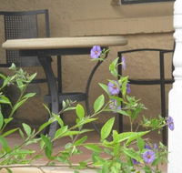 Amalie Cottage Waikerie - Accommodation QLD