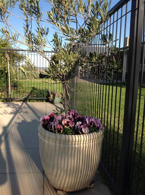 Amazing Views Pet Friendly Bed And Breakfast - Accommodation QLD 3