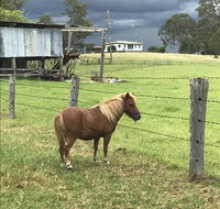 AMs Farm Stay - Accommodation QLD