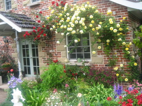 Annie's Cottage - Accommodation QLD 3
