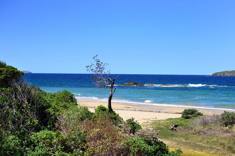 Aqualuna Beach Resort - Unit 25 - Accommodation QLD 3